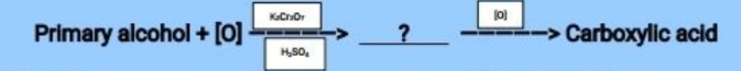 MCQ image