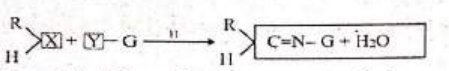 MCQ image