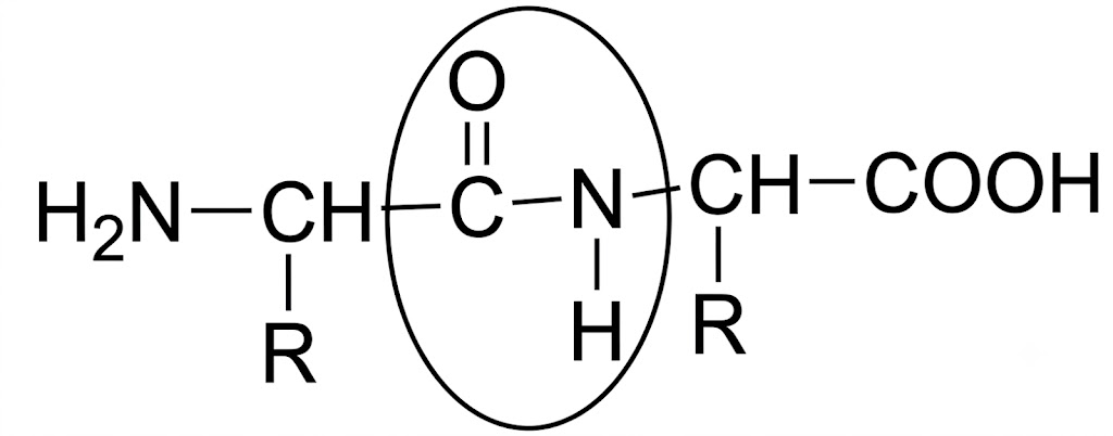 MCQ image