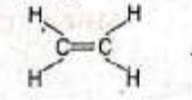 MCQ image