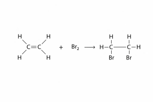 MCQ image