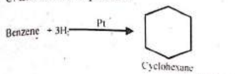 MCQ image