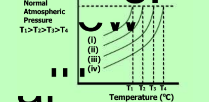 MCQ image
